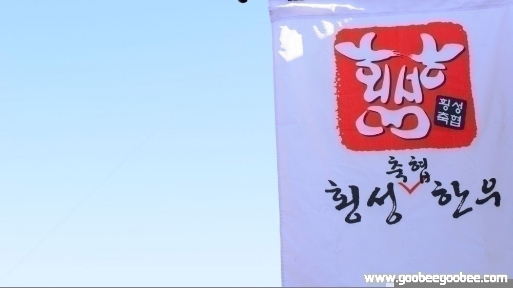 hoengseong-hanu preview 5