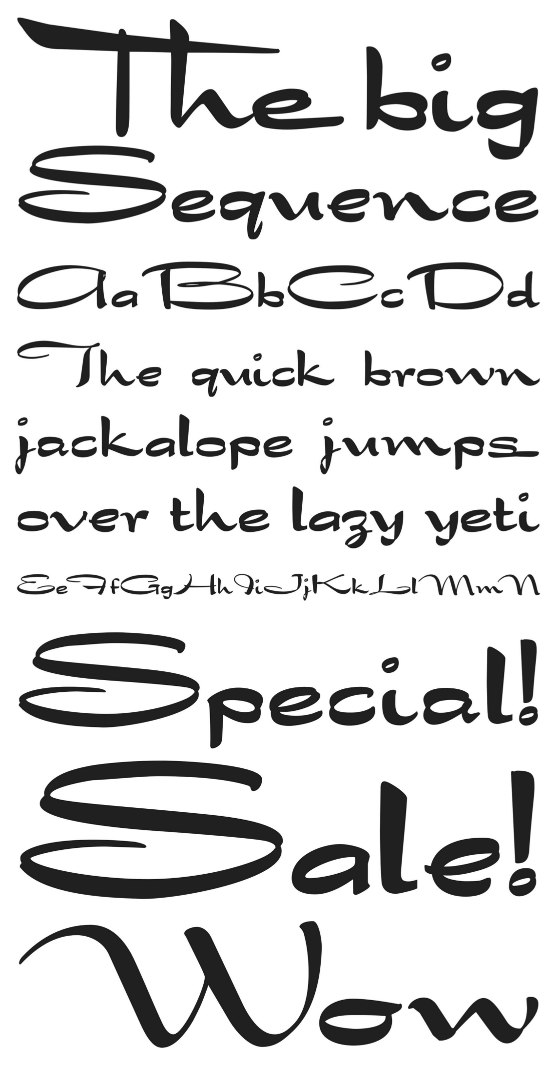 hwt-showcard-script preview 1
