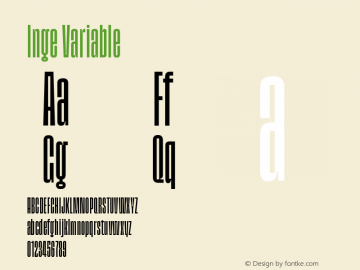 inge-variable preview 3