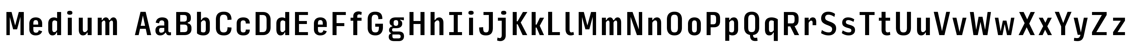 input-sans preview 1