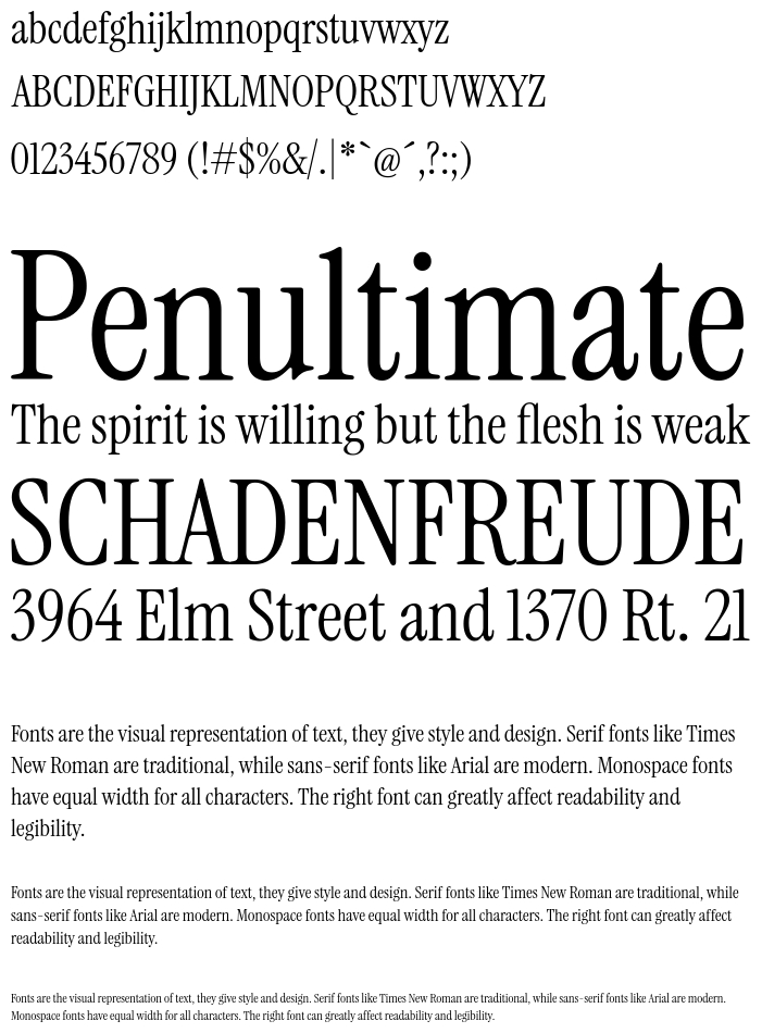 instrument-serif preview 1