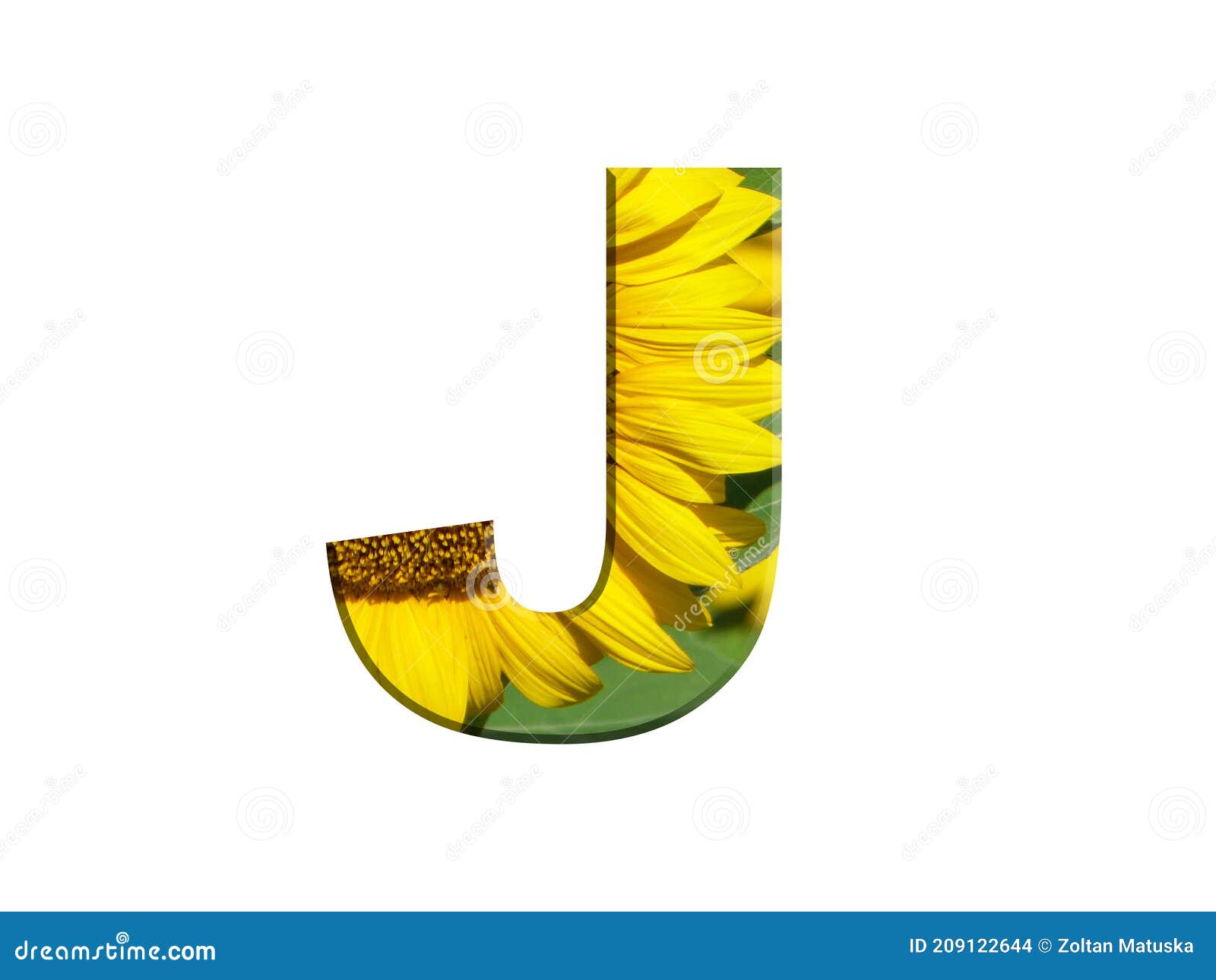 j-sunflower preview 1