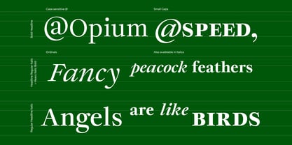 joly-text preview 5