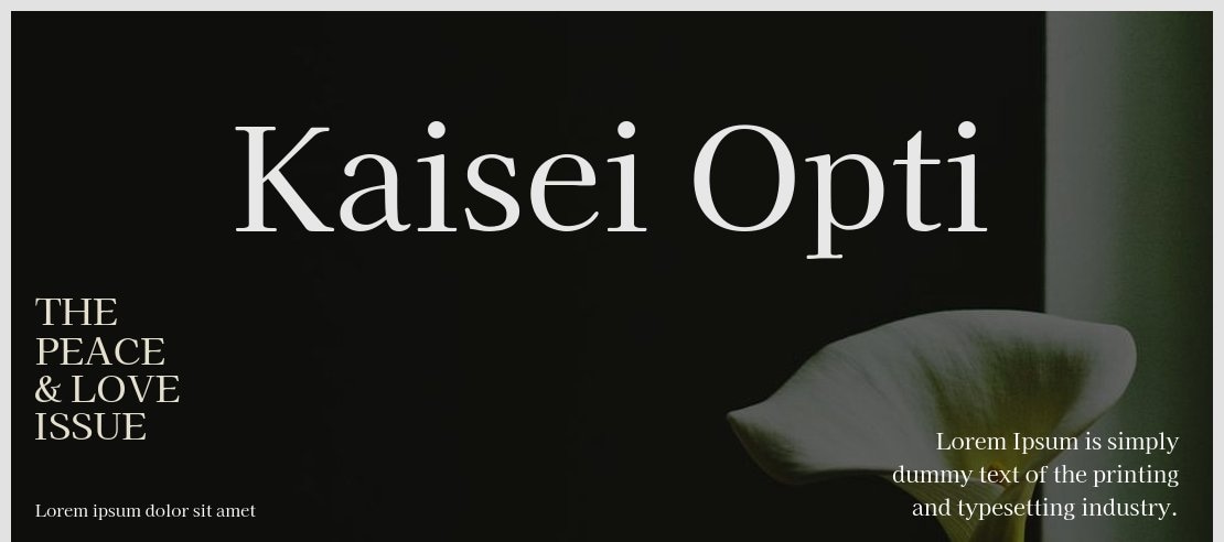 kaisei-opti font preview - main display