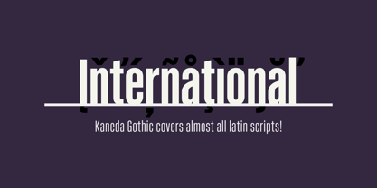 kaneda-gothic preview 5