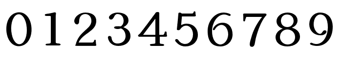 kinuta-mincho-stdn font preview - main display