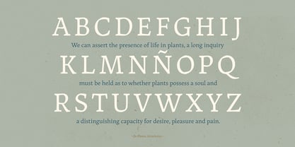 landa font preview - main display