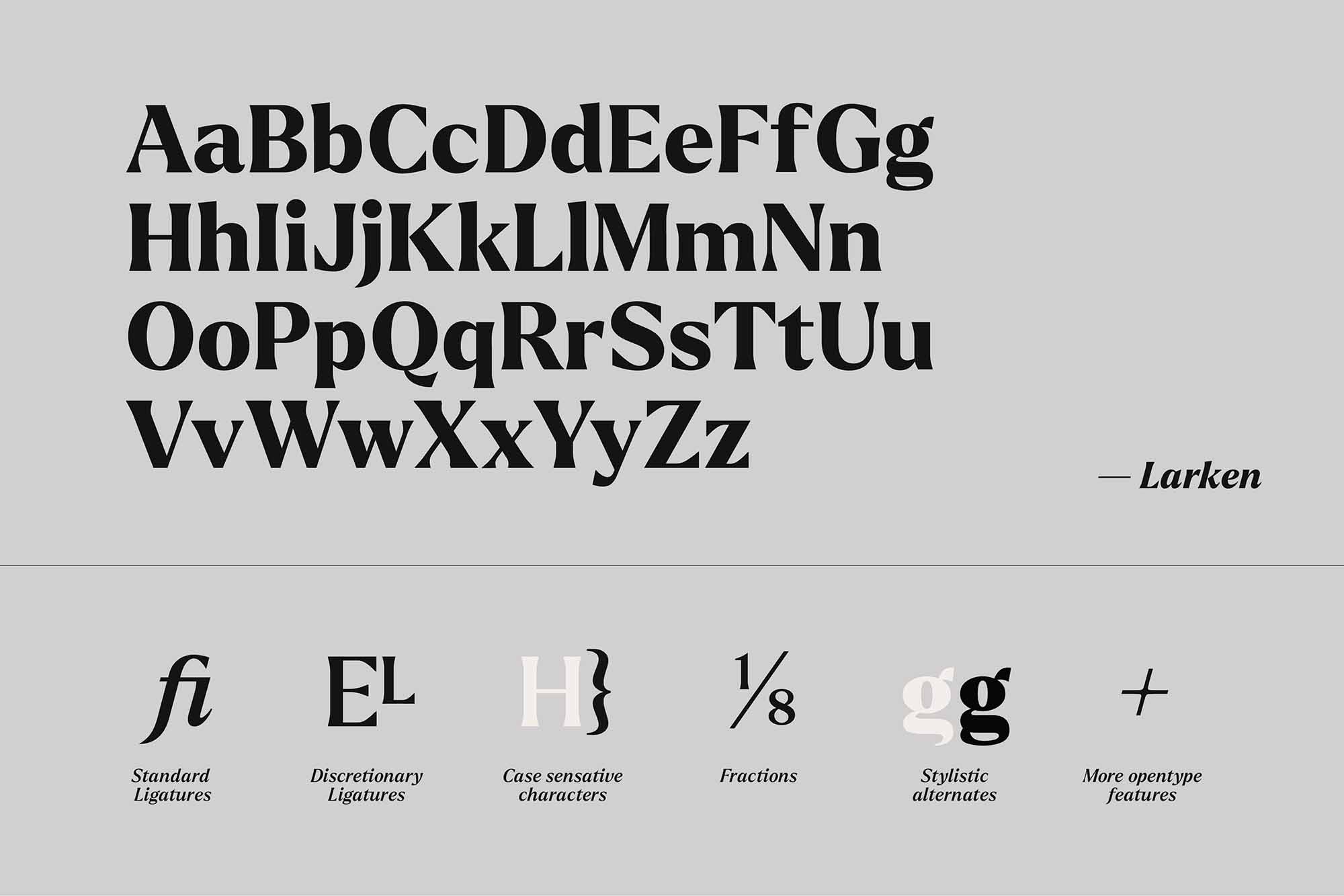 larken font preview - main display