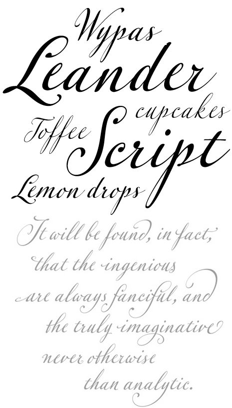 leander-script preview 2