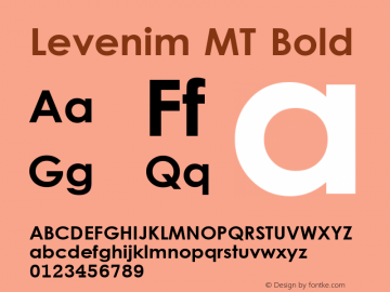 levenim-mt preview 4