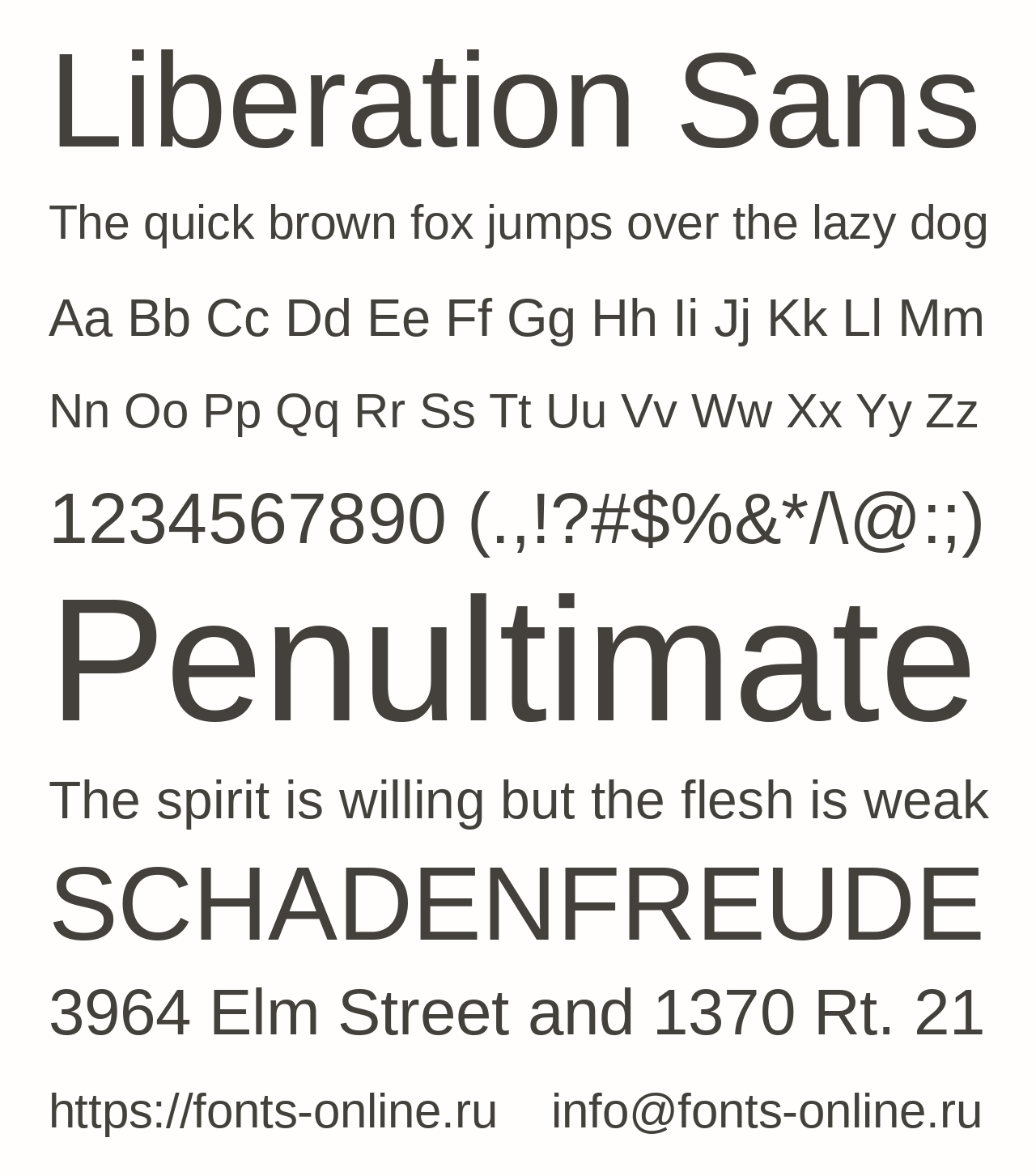 liberation-sans preview 4