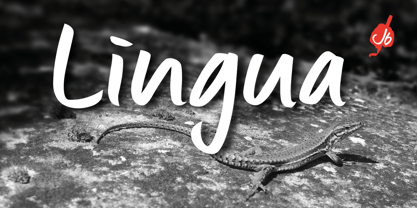 lingua preview 5
