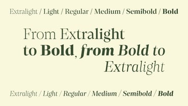 loretta-display-variable preview 3