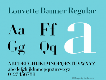 louvette-banner preview 5