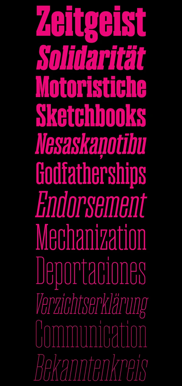 magno-serif-variable preview 1