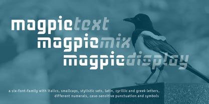 magpie preview 3