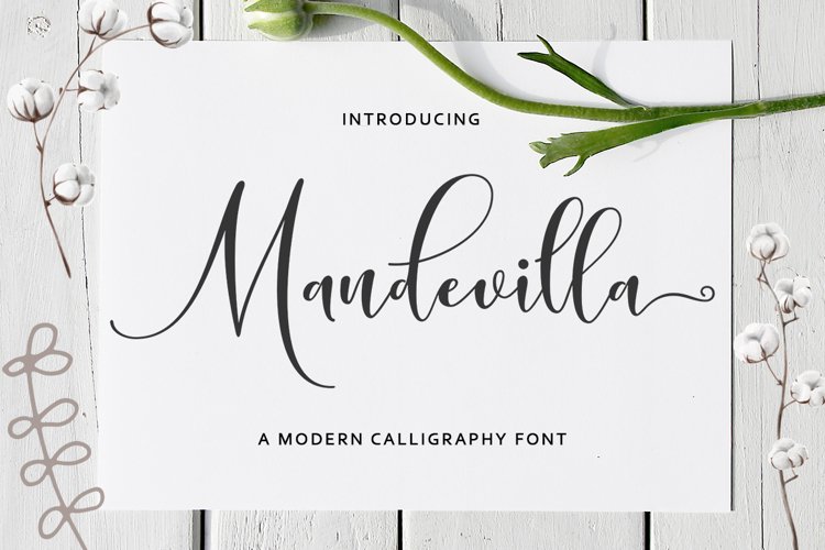 mandevilla preview 4