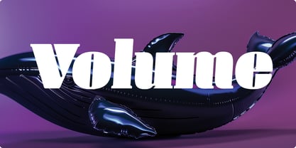 manometer-serif font preview - main display
