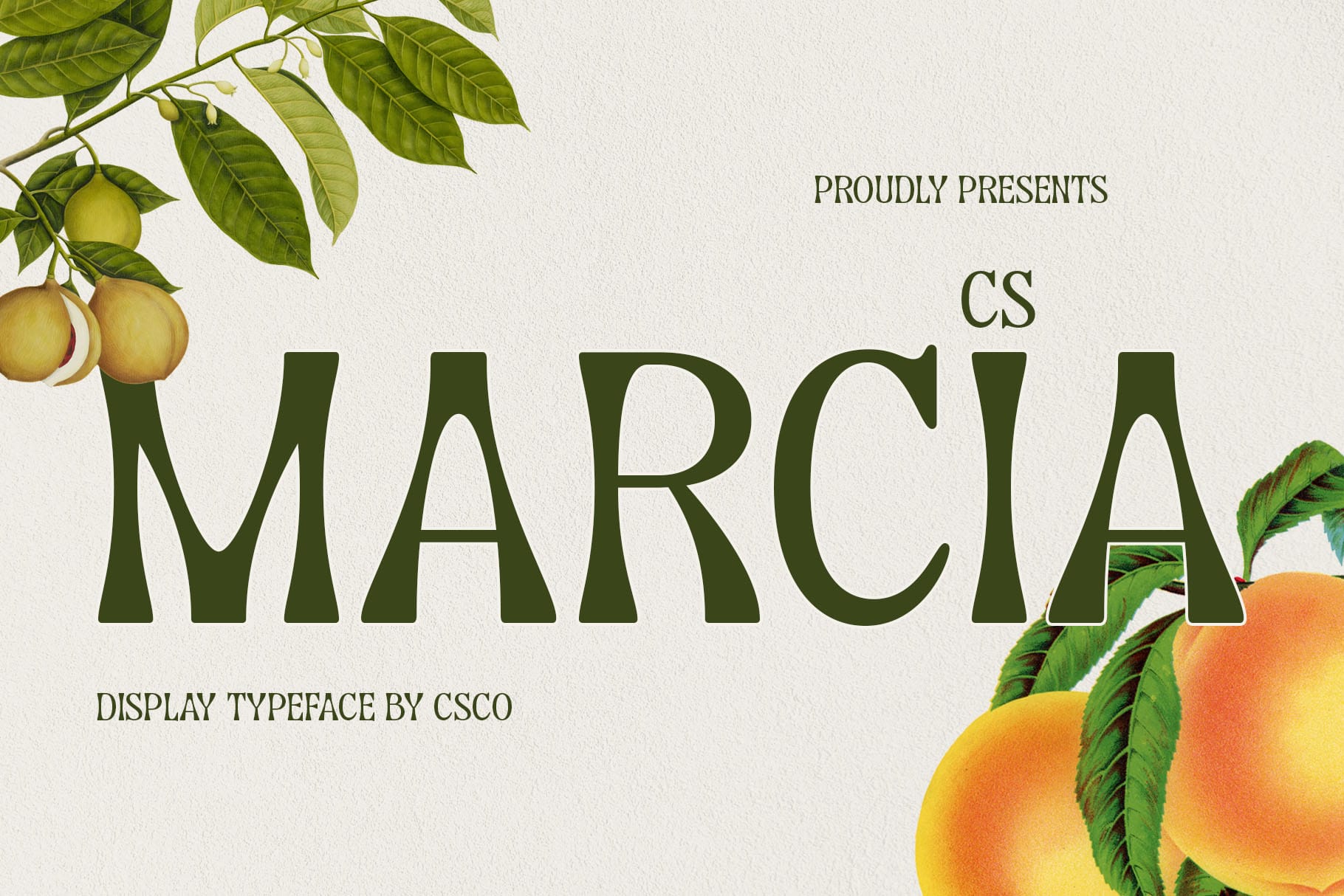marcia font preview - main display