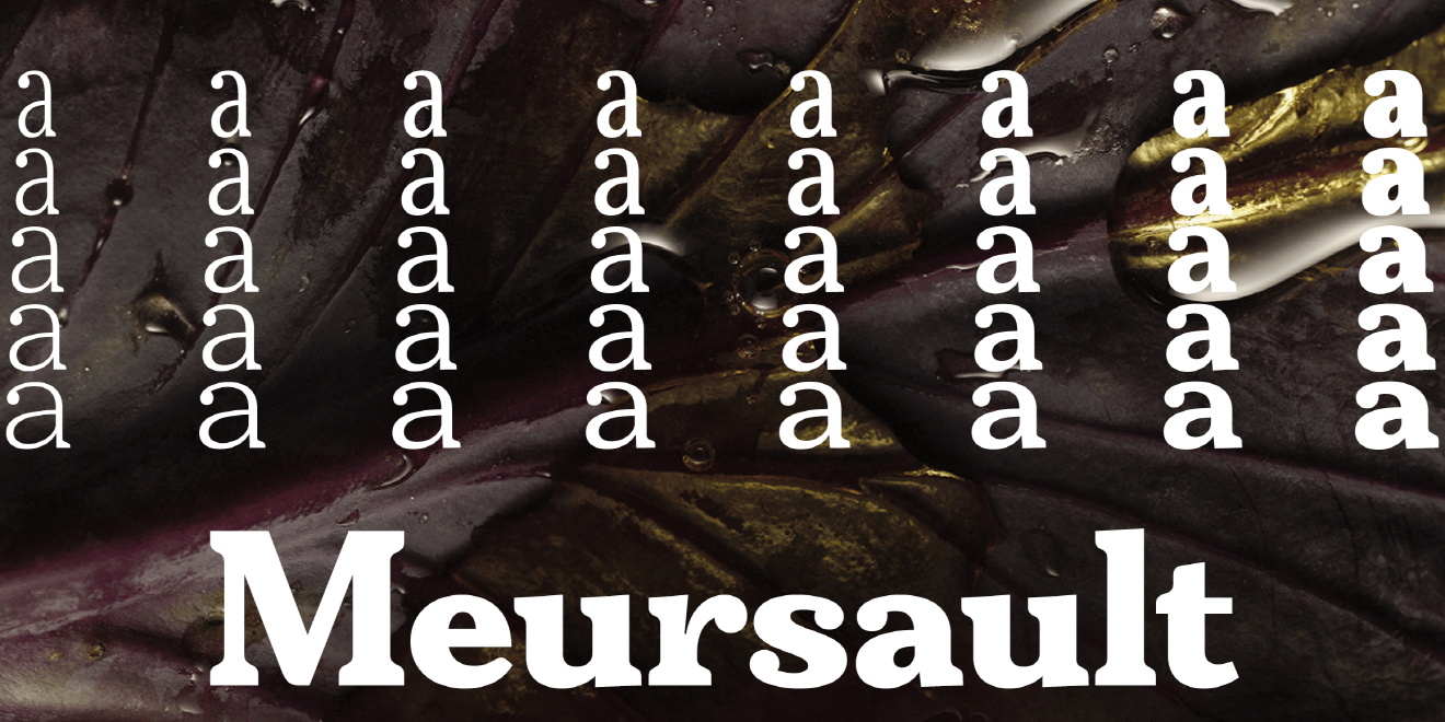 meursault-variable preview 2