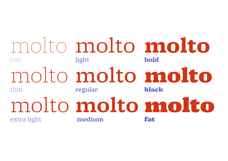 molto preview 1