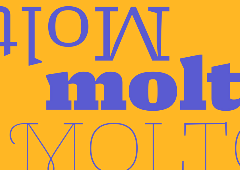 molto preview 4