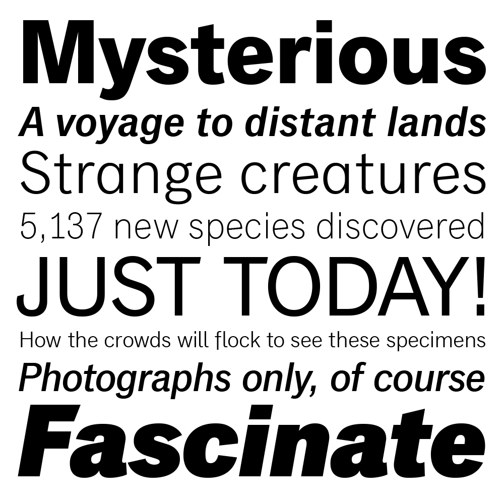 monotype-grotesque preview 2