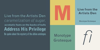 monotype-grotesque preview 4