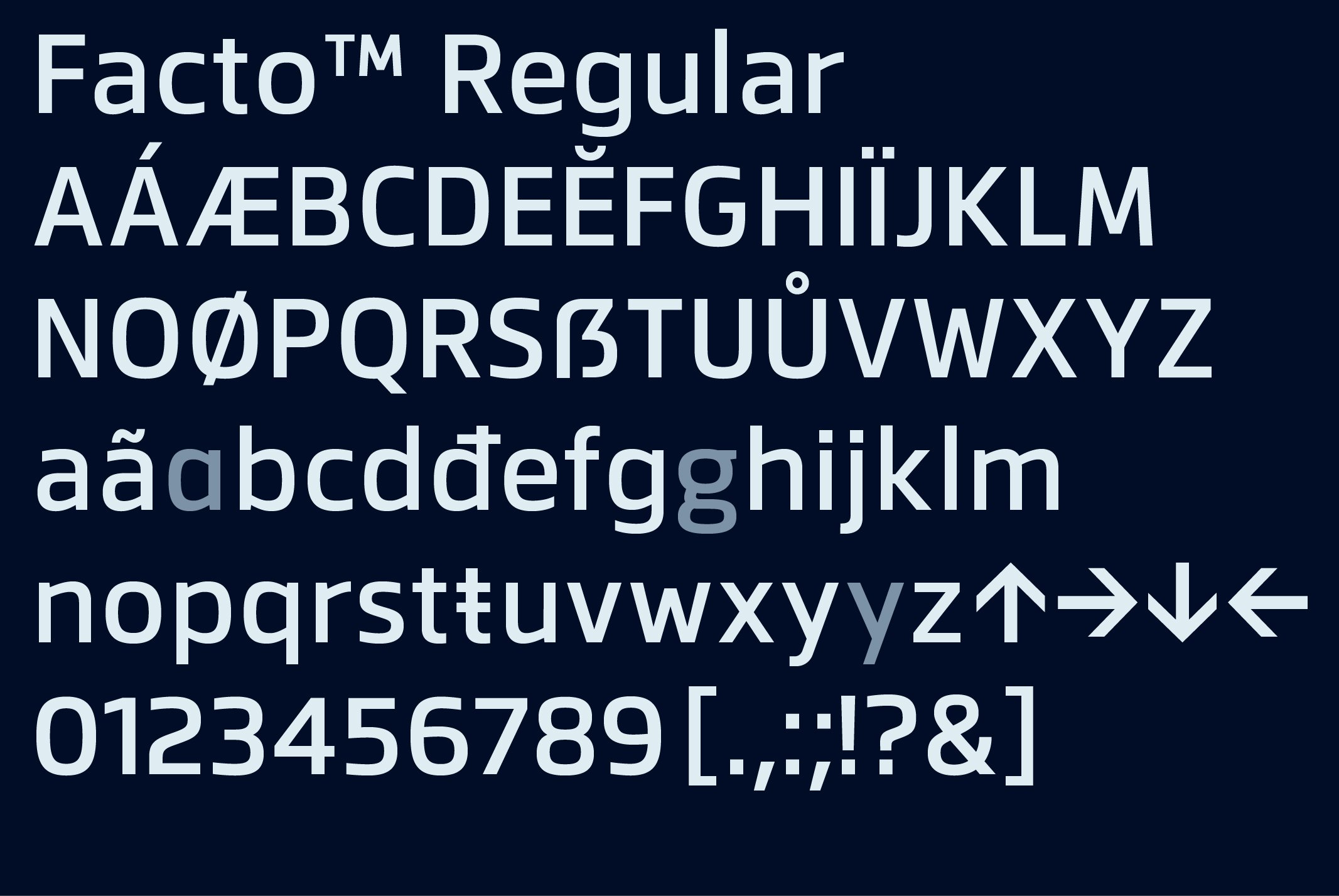 moret-variable preview 4