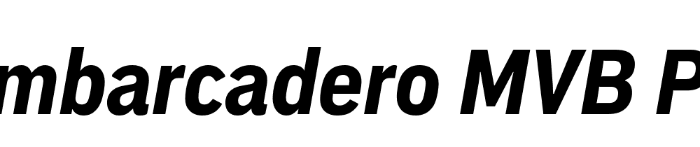 mvb-embarcadero-pro preview 3