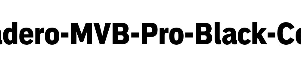 mvb-embarcadero-pro preview 5
