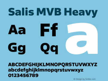 mvb-salis preview 1