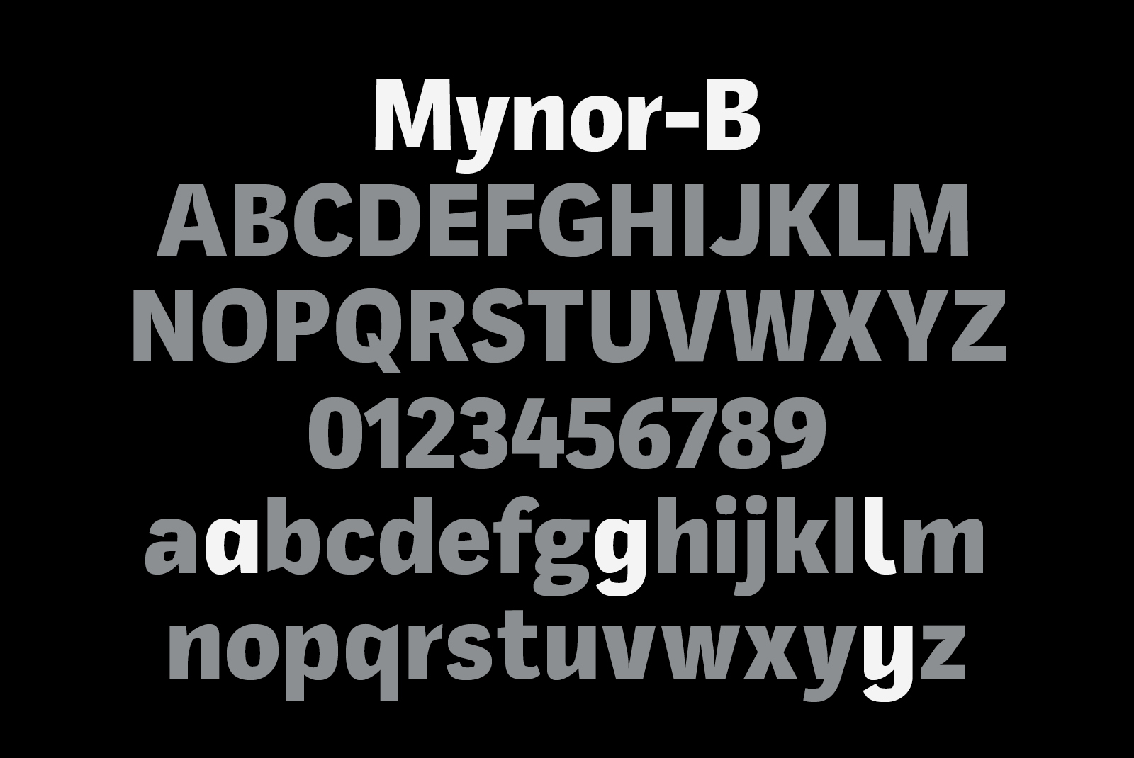 mynor-variable preview 1