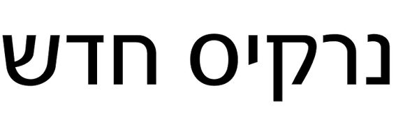 narkiss-hadash font preview - main display