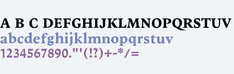 narkiss-text-variable preview 2