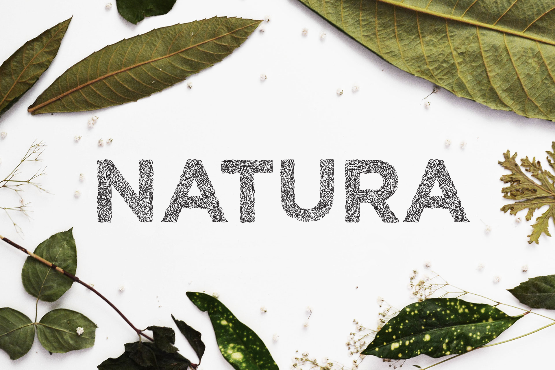natura preview 3