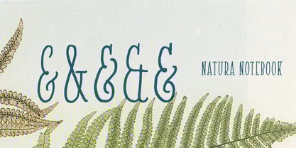 natura preview 2