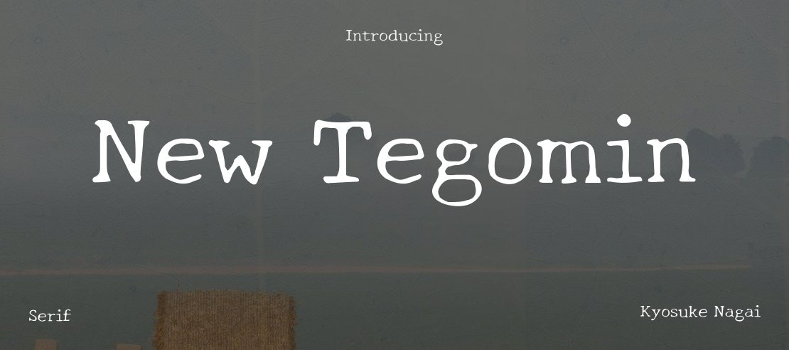new-tegomin preview 4