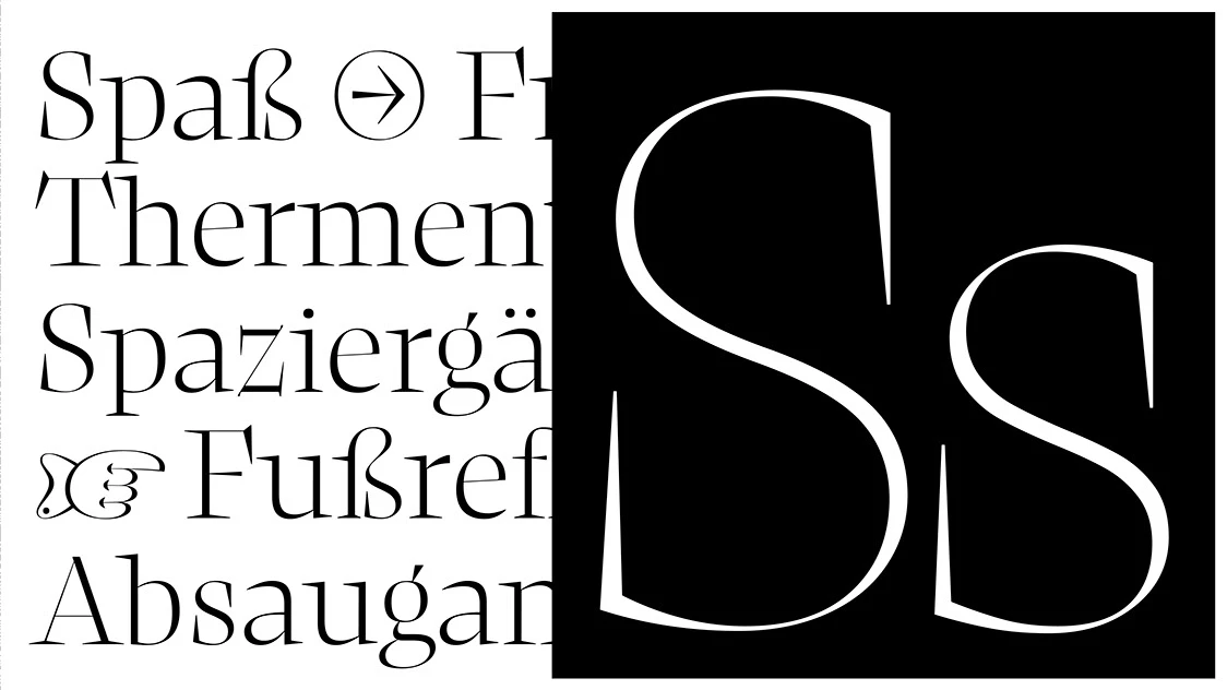 newsserif-variable font preview - main display
