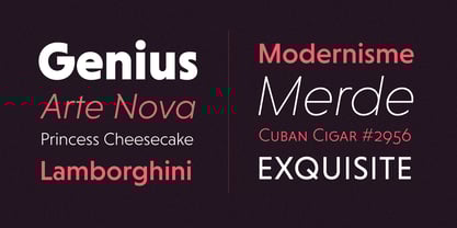 niveau-grotesk preview 3