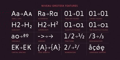 niveau-grotesk preview 1
