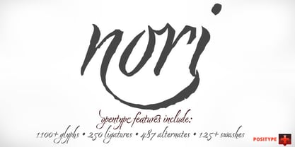 nori preview 1