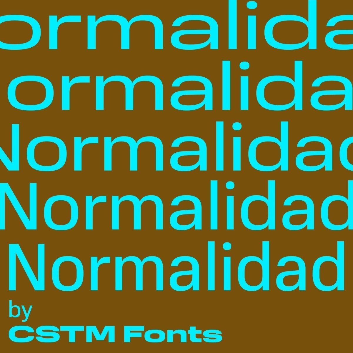 normalidad-variable preview 3