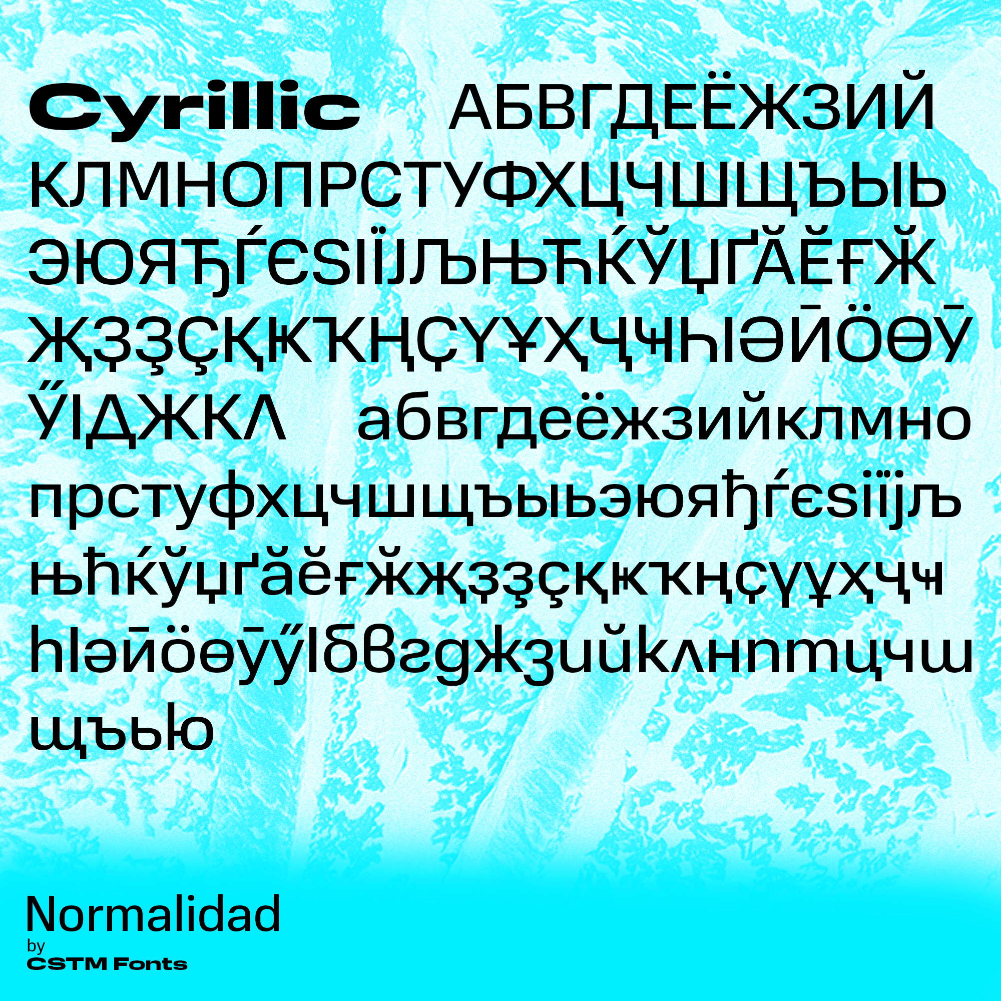 normalidad-variable preview 5