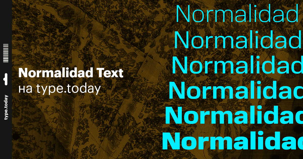 normalidad preview 2