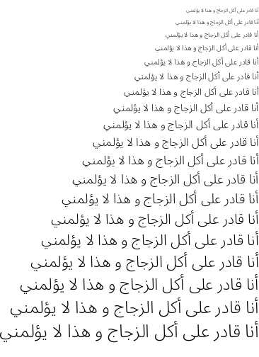 noto-sans-arabic preview 4