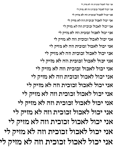 noto-serif-hebrew preview 4