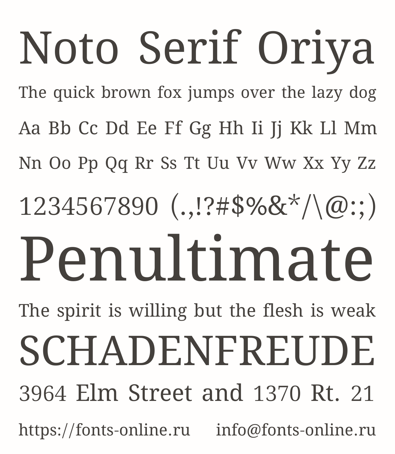 noto-serif-oriya preview 3