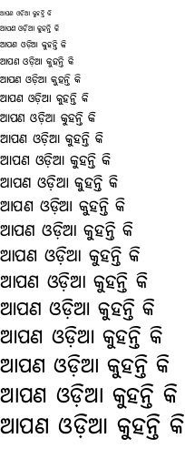 noto-serif-oriya preview 2