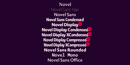 novel-sans preview 3